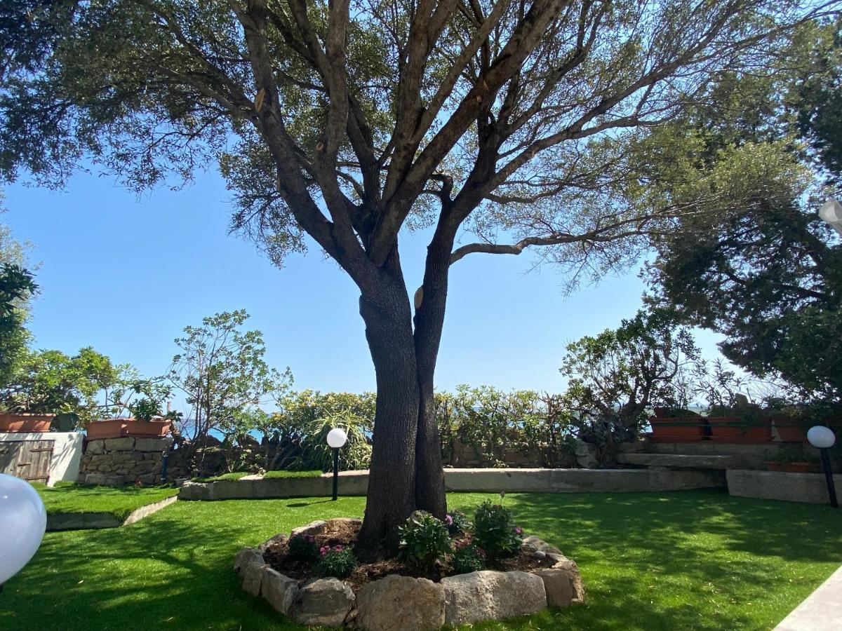 La Casa Sull'Acqua Villa Olbia Eksteriør bilde
